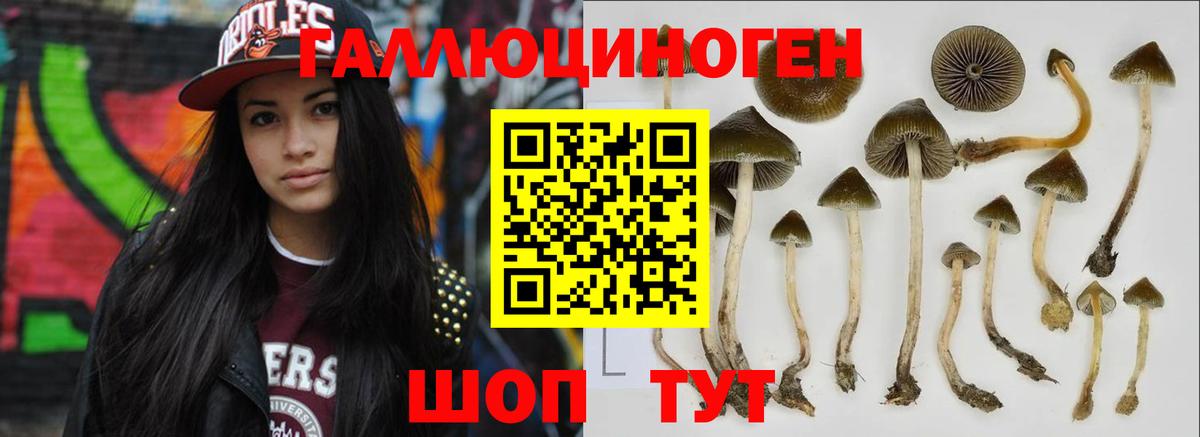 Соликамск  Псилоцибиновые грибы Cubensis  Вход с VPN 